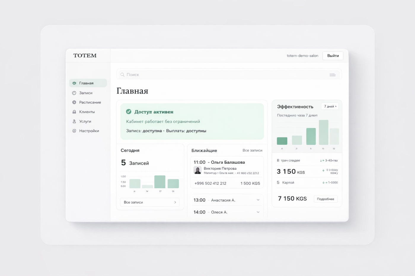 Рабочий интерфейс платформы TOTEM