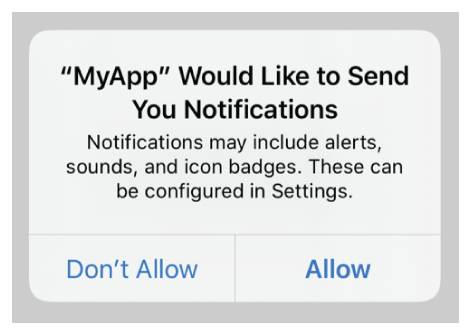 A screenshot showing the system prompting the user to allow or disallow the use of alerts, sounds, and badges when the app sends notifications.