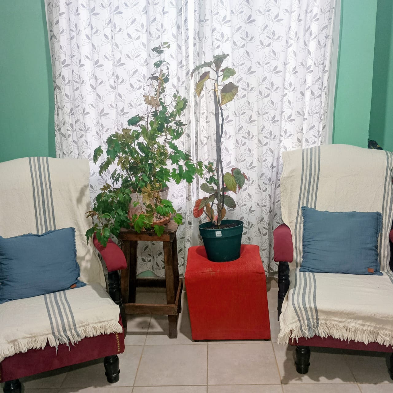 Producto Vale Déco en hogar de cliente 3