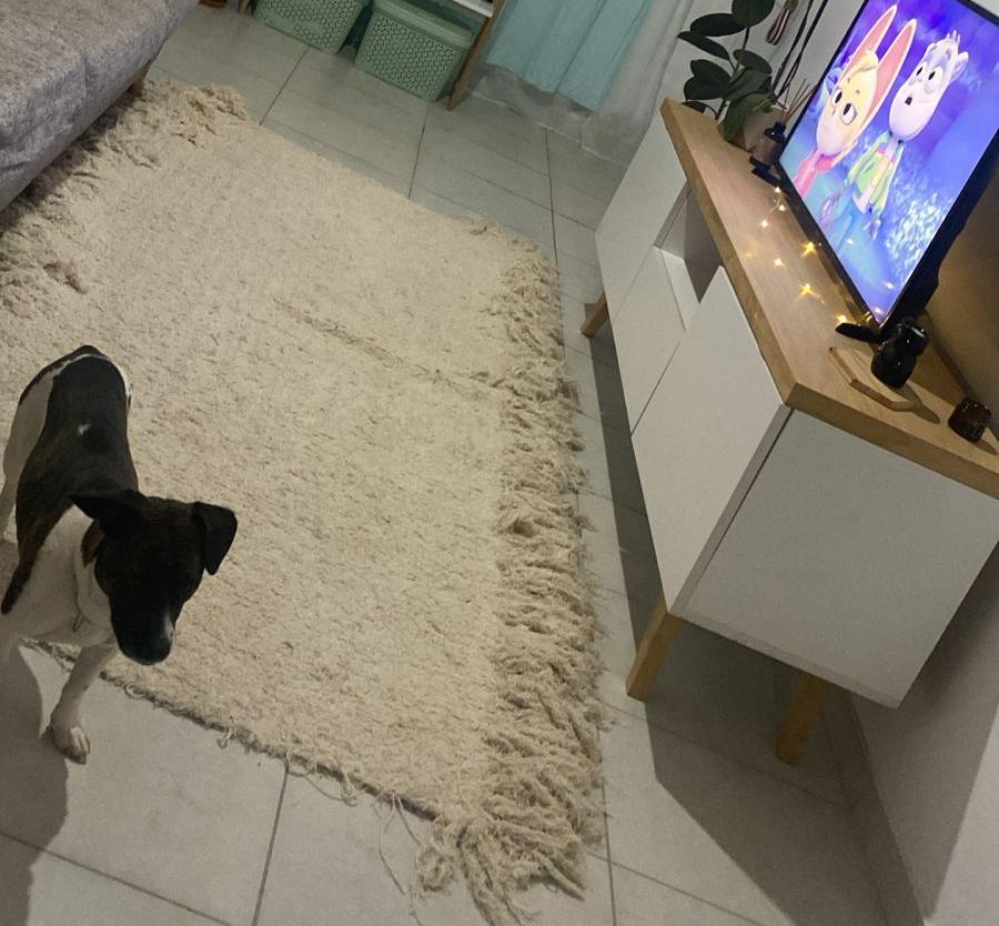 Producto Vale Déco en hogar de cliente 15