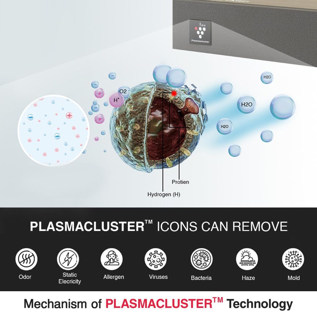 Sharp FP-S40M-T Air Purifier 4