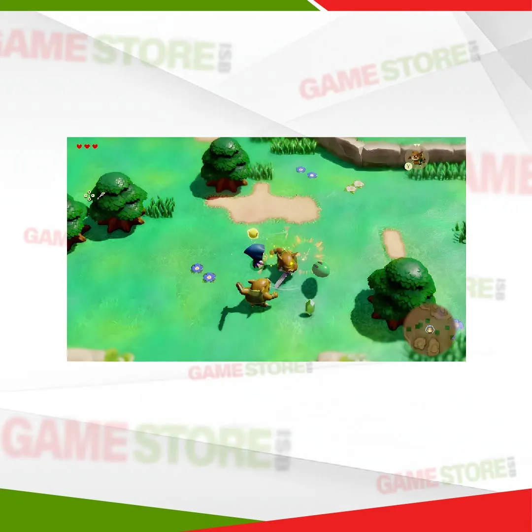 Princess Zelda fighting enemies in Echoes of Wisdom Switch
