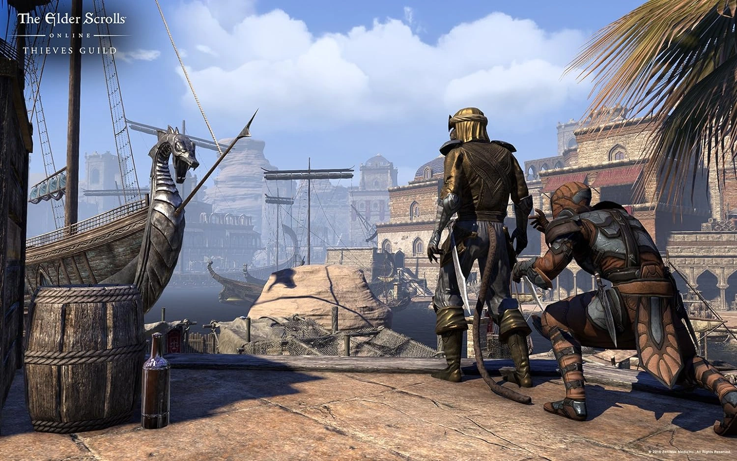 Elder Scrolls Online Gold Edition PS4 used game case cover art