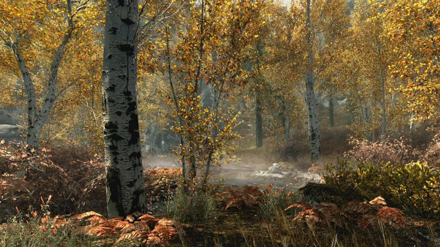 Skyrim Special Edition PS4 used game cover Pakistan