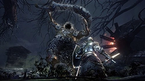 Dark Souls 3 PS4 gameplay Kingdom of Lothric boss fight action RPG Pakistan