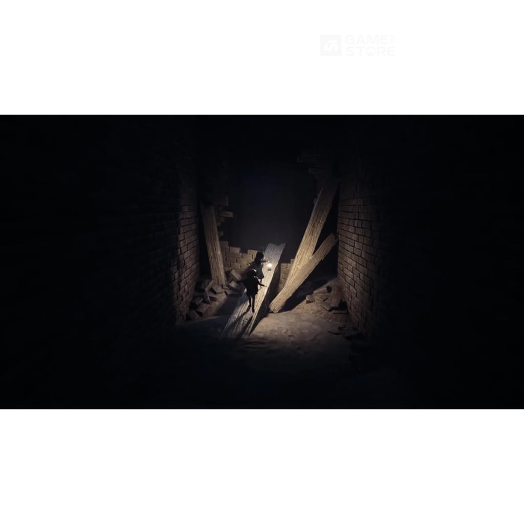 REANIMAL Switch 2 game cover for Nintendo Switch 2 Games in Pakistan