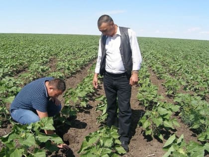 Инвестиционная привлекательность Оренбуржья: Лидеры рейтинга