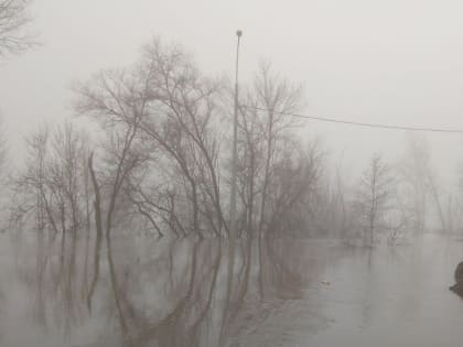 К Оренбуржью подбирается антициклон. А пока дожди