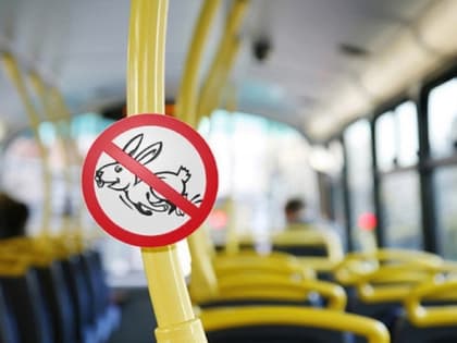 Новые штрафы за безбилетный проезд в Оренбургской области