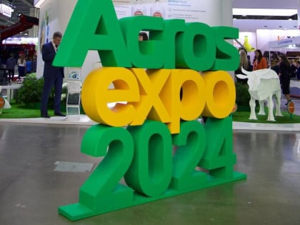 Капсулы для стирки и корм для птицы. Оренбургские товары выходят на российский рынок