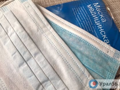 Дистанционное обучение в Оренбургской области из-за гриппа
