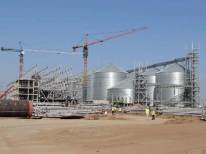 Завод по переработке подсолнечника в Бузулуке готов на 50%