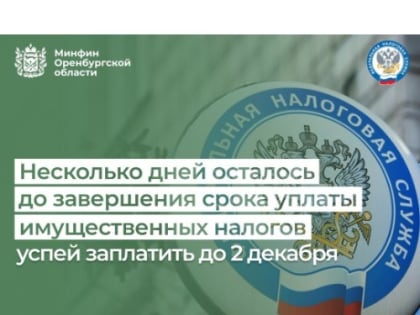 Срок уплаты налогов за 2023 год истекает