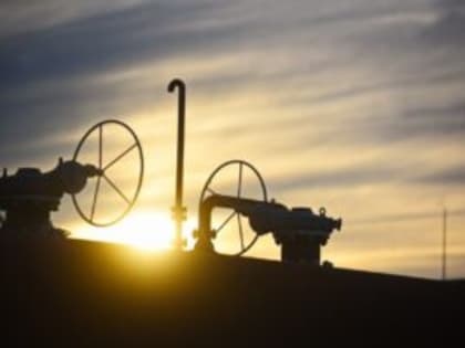 Директор ООО «Сладковско-Заречное» рассказал о достижениях компании в день её рождения