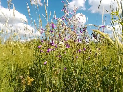 Погоду в Оренбуржье диктует теплая воздушная масса