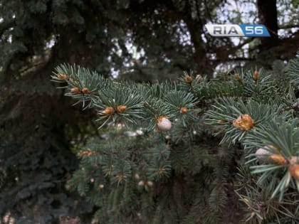 МЧС предупреждает оренбуржцев о похолодании