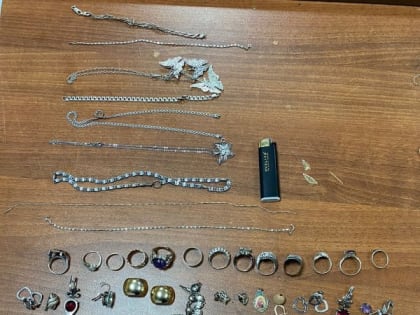 На границе Оренбуржья задержали серийных домушников