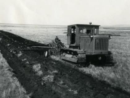 Поднятая целина: и будет вечно зерно колоситься