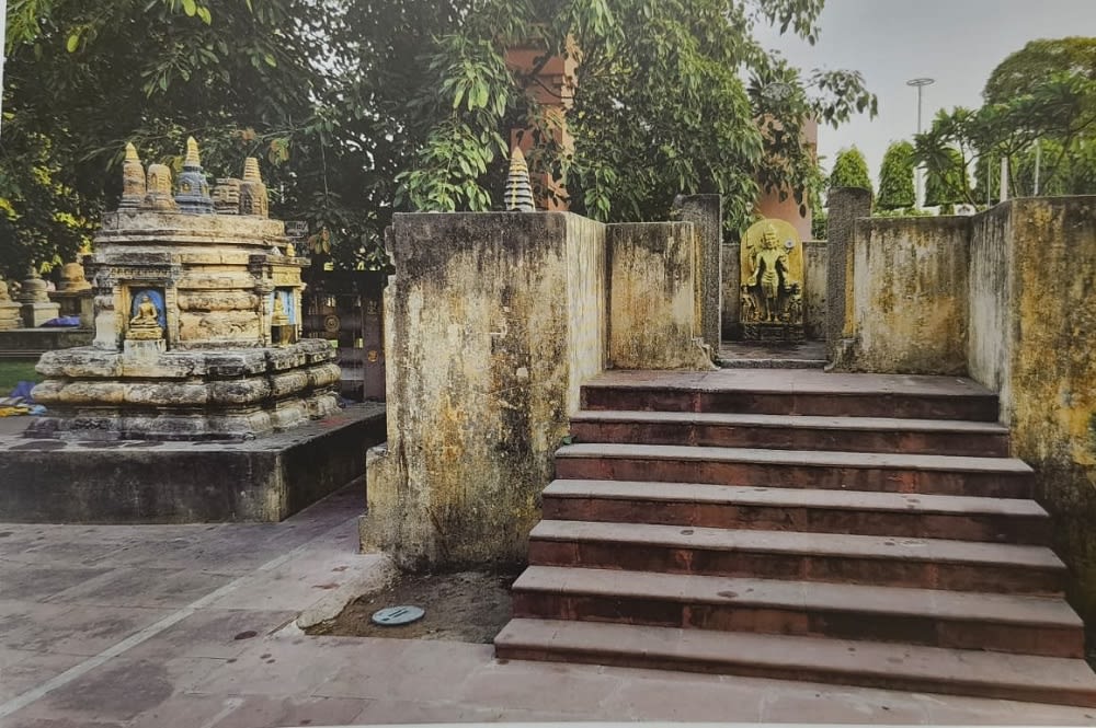 Rajayatna Tree