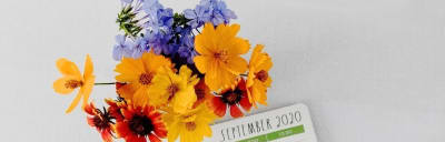 Book Review: The 12 Week Year