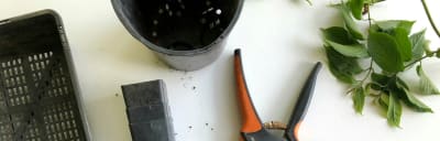 Adding ESLint & Prettier to My Blog