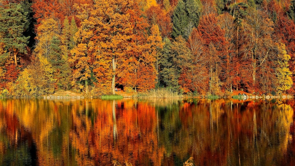 The October Micro SaaS Challenge