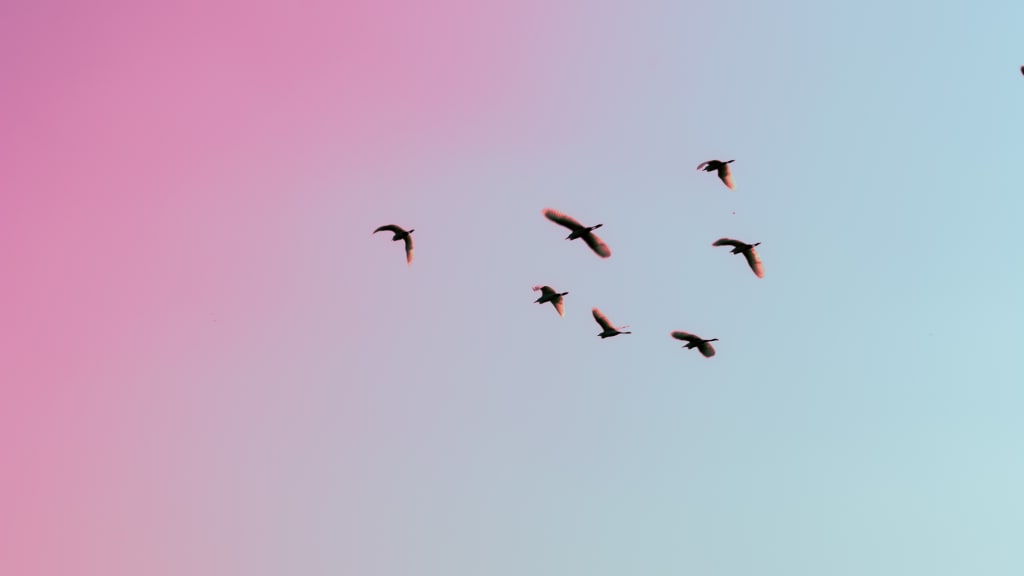 Leaving Twitter for Mastodon