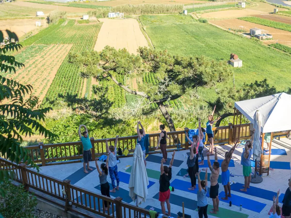 Rapture Surfcamp Ericeira photo 3