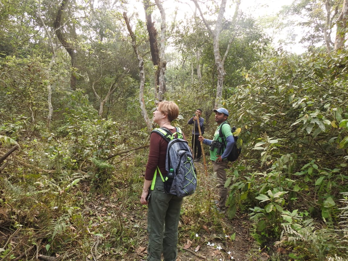bird watching at buffer zone,cnp