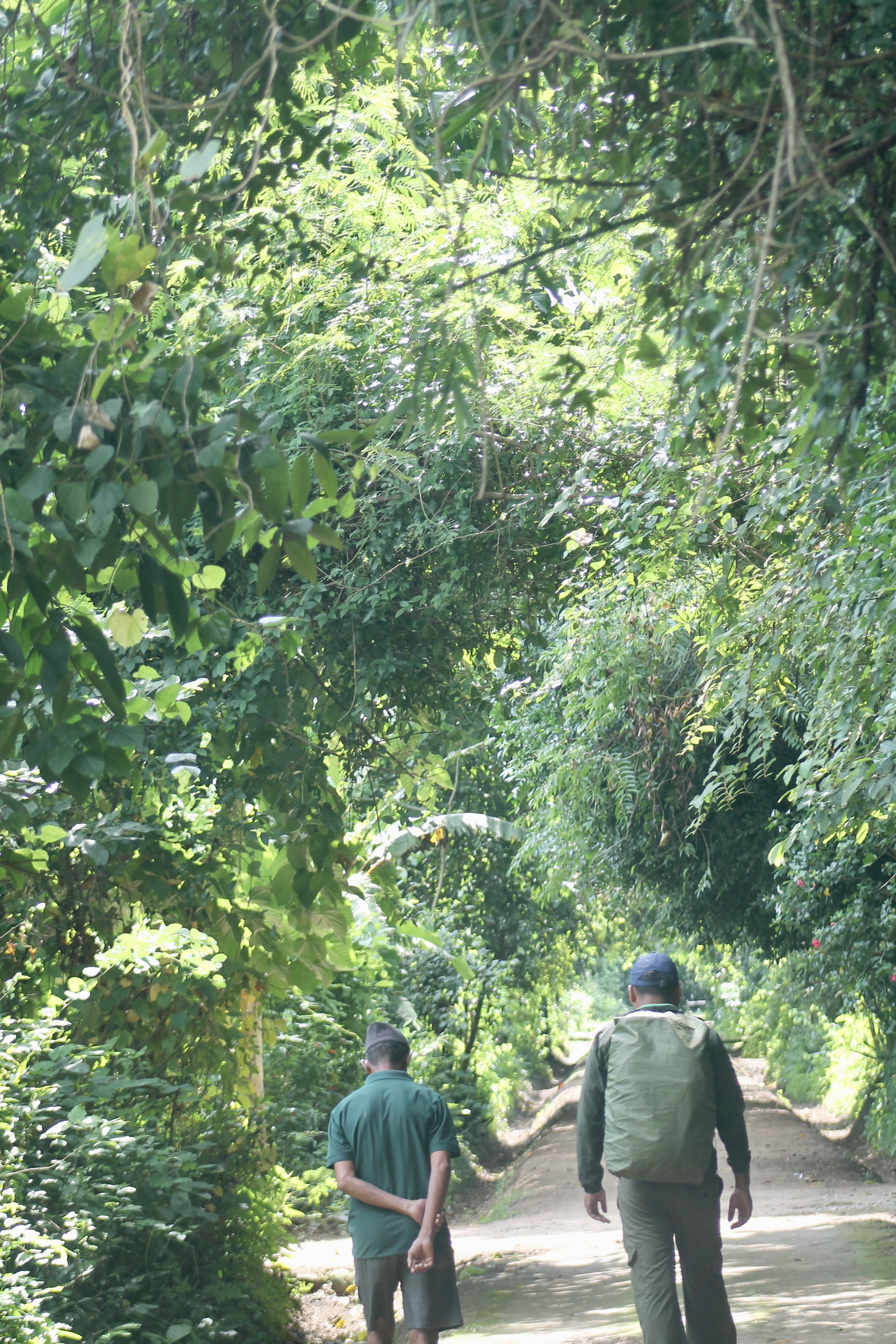 visiting tharu village and local exploration