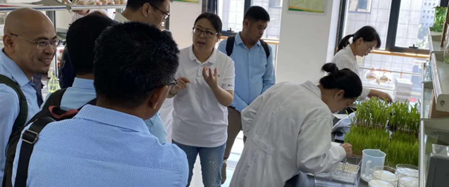 Leads explored the hybrid rice seed technologies