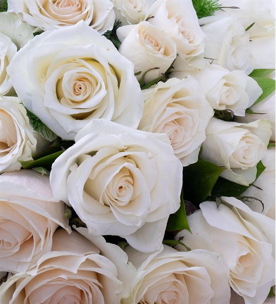 Aida Serisi 29 Beyaz Gül Tasarım Çiçek Buketi-thumb-2