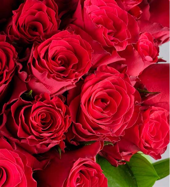 Ateş Böceği Premium 41 Kırmızı Gül Buketi - hover