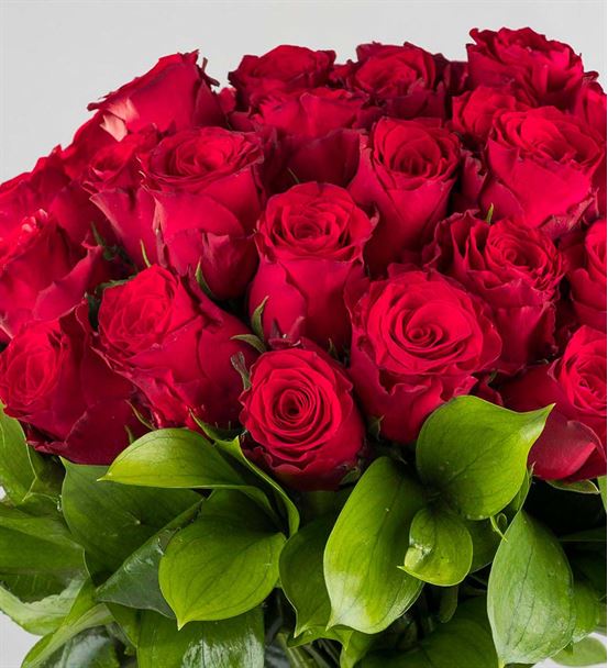 Ateş Böceği Premium 41 Kırmızı Gül Buketi-thumb-2