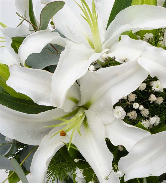 Bulutların Dansı Mis Kokulu Beyaz Lilyumlar-thumb-2