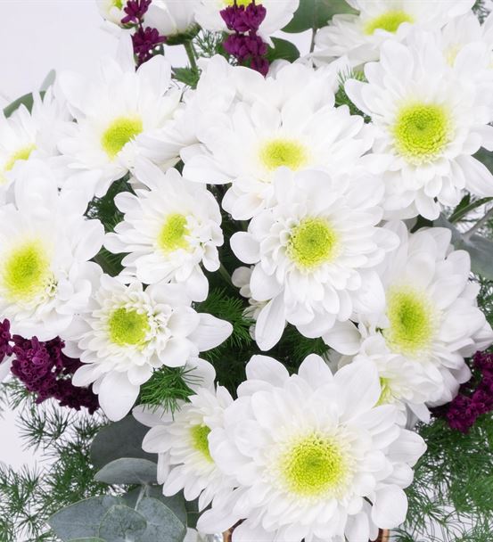 Gimmelwald Beyaz Papatya Tasarım Aranjmanı - hover