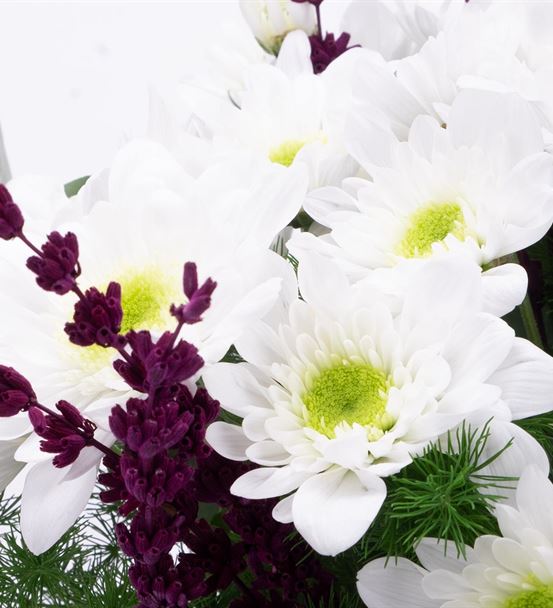 Gimmelwald Beyaz Papatya Tasarım Aranjmanı-thumb-3