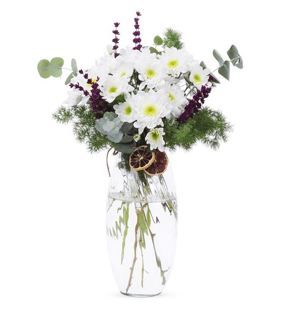 Gimmelwald Beyaz Papatya Tasarım Aranjmanı