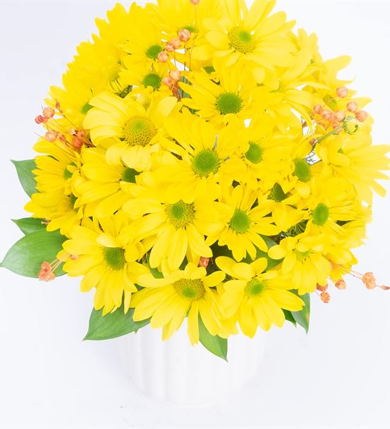 Joyful Sarı Papatyalar Çiçek Aranjmanı - hover