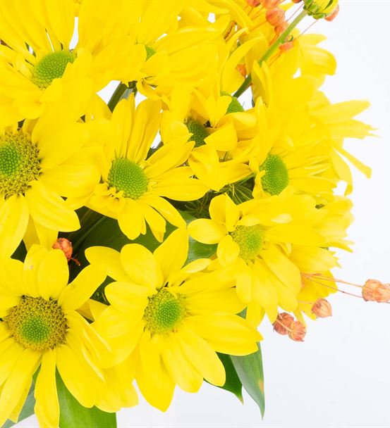 Joyful Sarı Papatyalar Çiçek Aranjmanı-thumb-3