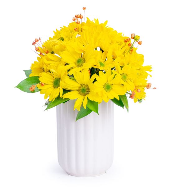 Joyful Sarı Papatyalar Çiçek Aranjmanı