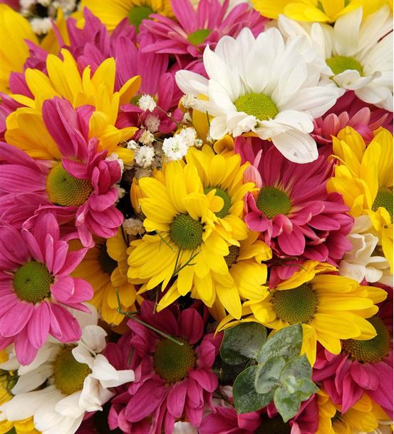 Kristal Vazoda Renkli Papatyalar Aranjmanı - hover