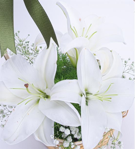 Martha Serisi Mis Kokulu Beyaz Lilyum Çiçek Sepeti - hover