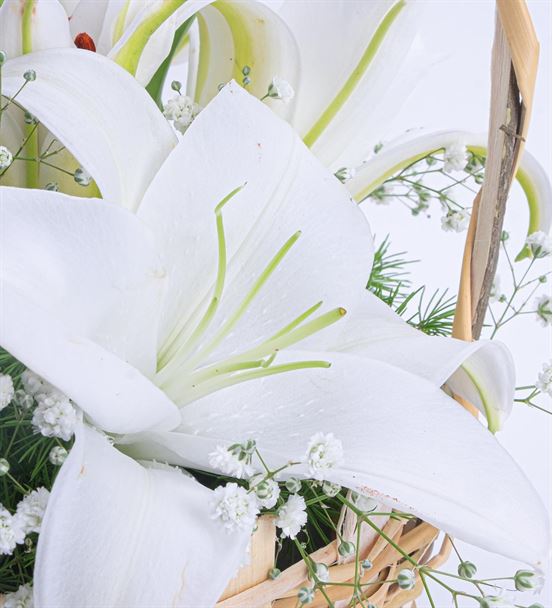 Martha Serisi Mis Kokulu Beyaz Lilyum Çiçek Sepeti-thumb-2