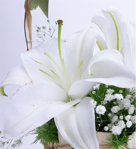 Martha Serisi Mis Kokulu Beyaz Lilyum Çiçek Sepeti-thumb-3