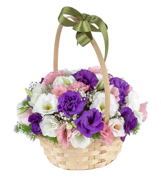 Açılış & Kutlama