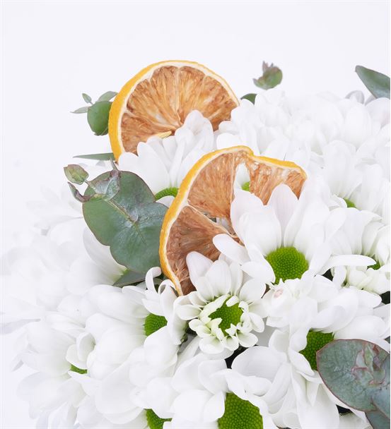 Pure Feelings Kürede Beyaz Papatya Aranjmanı-thumb-2