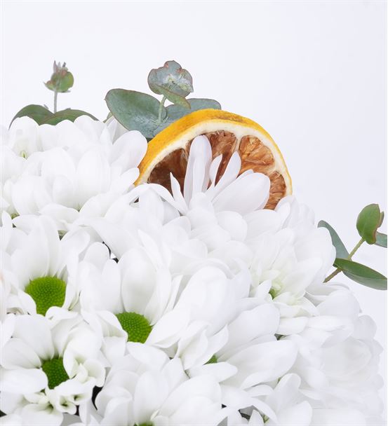 Pure Feelings Kürede Beyaz Papatya Aranjmanı-thumb-3