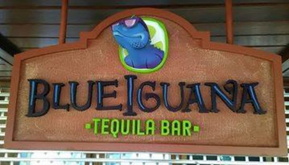 La Fuente Mexican Restaurant and Blue Iquana Bar