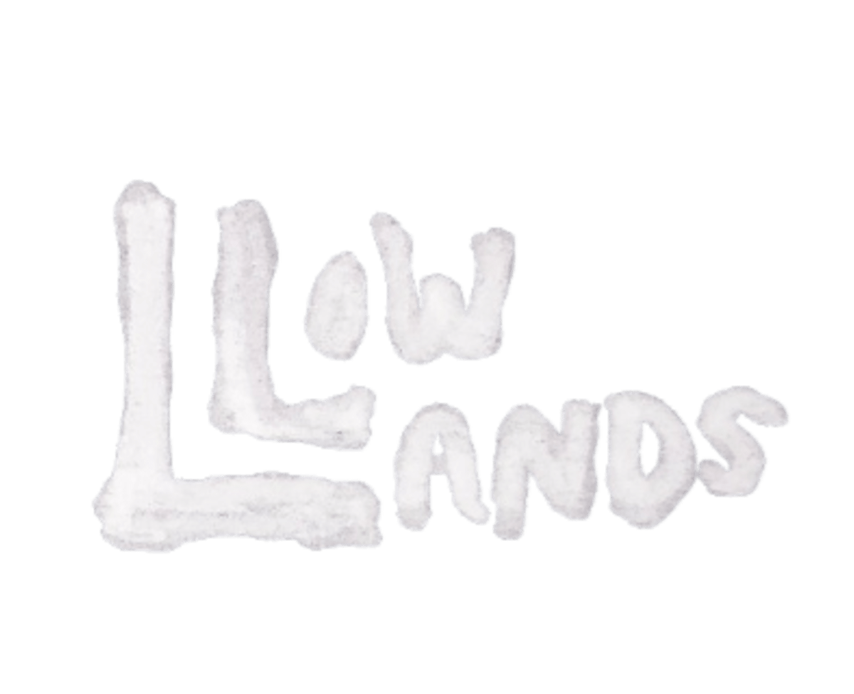 Lowlands Bar, Brooklyn, NY